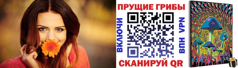 blacksprut сайт Вихоревка Галлюциногенные грибы ЛСД